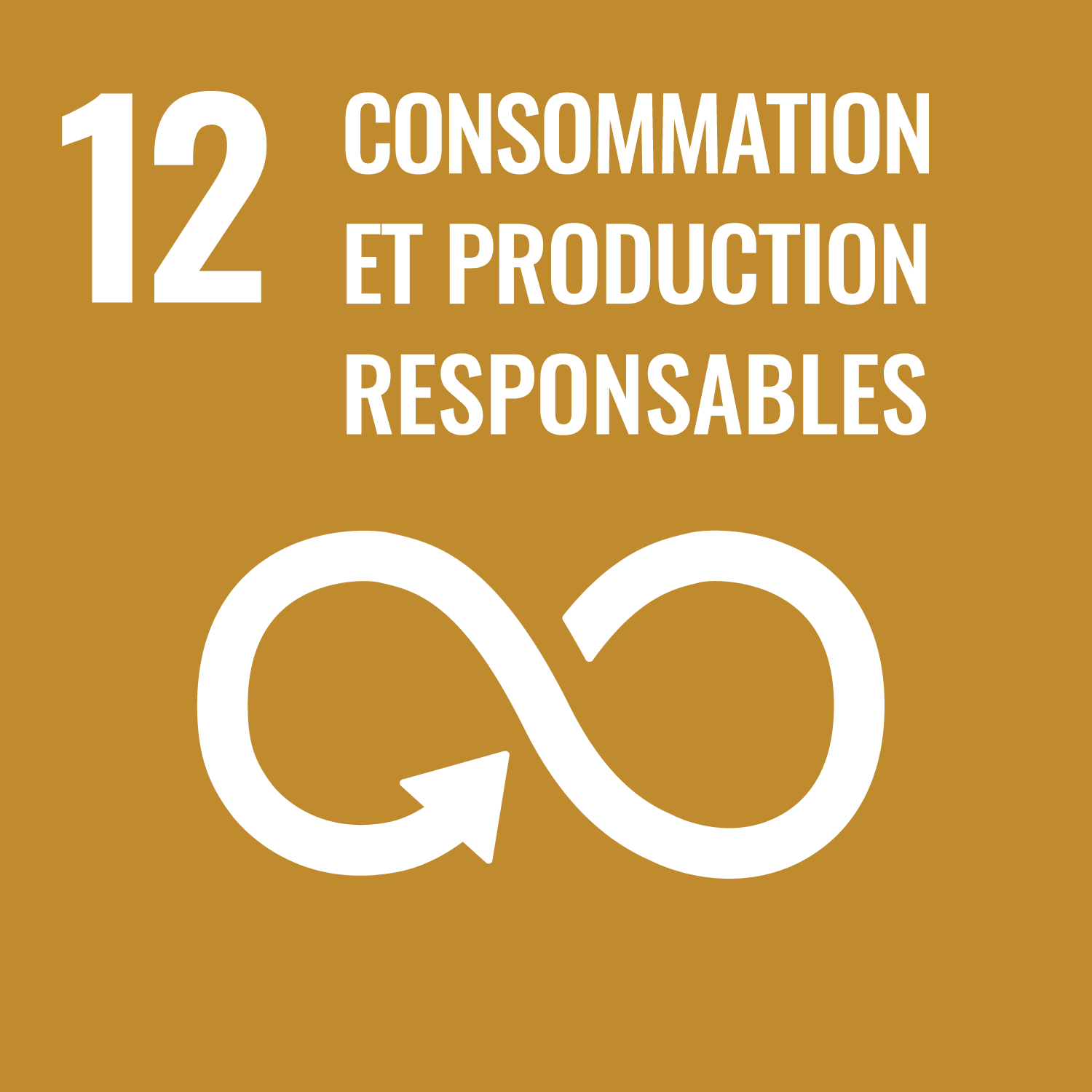Responsible consumption & production